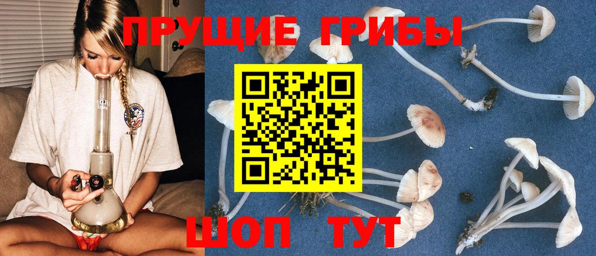 Псилоцибиновые грибы MAGIC MUSHROOMS  Вход с VPN  Мытищи 